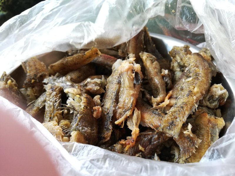 肉鱼，狗母鱼，趴地虎每天有货价，保质保量，，