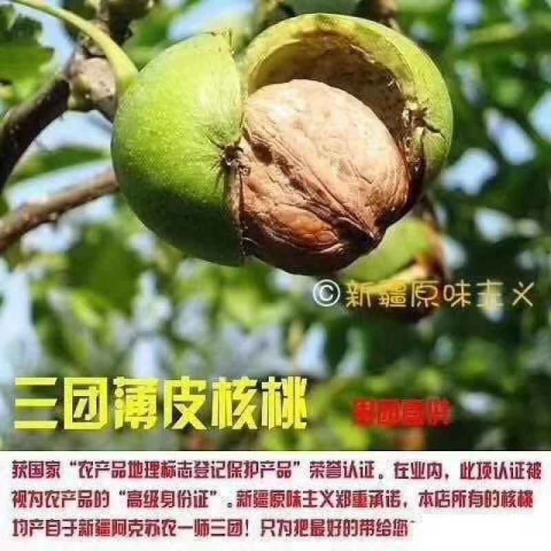 【有好货】新疆185纸皮核桃2023年新货，农户自产自销