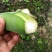 粉蕉（珠三角产区）