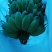 苹果蕉