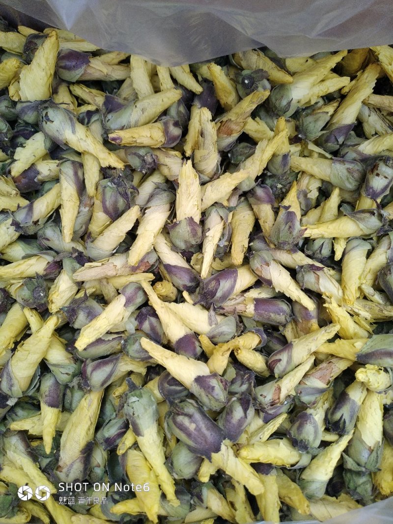 黄蜀葵花蜀葵花
