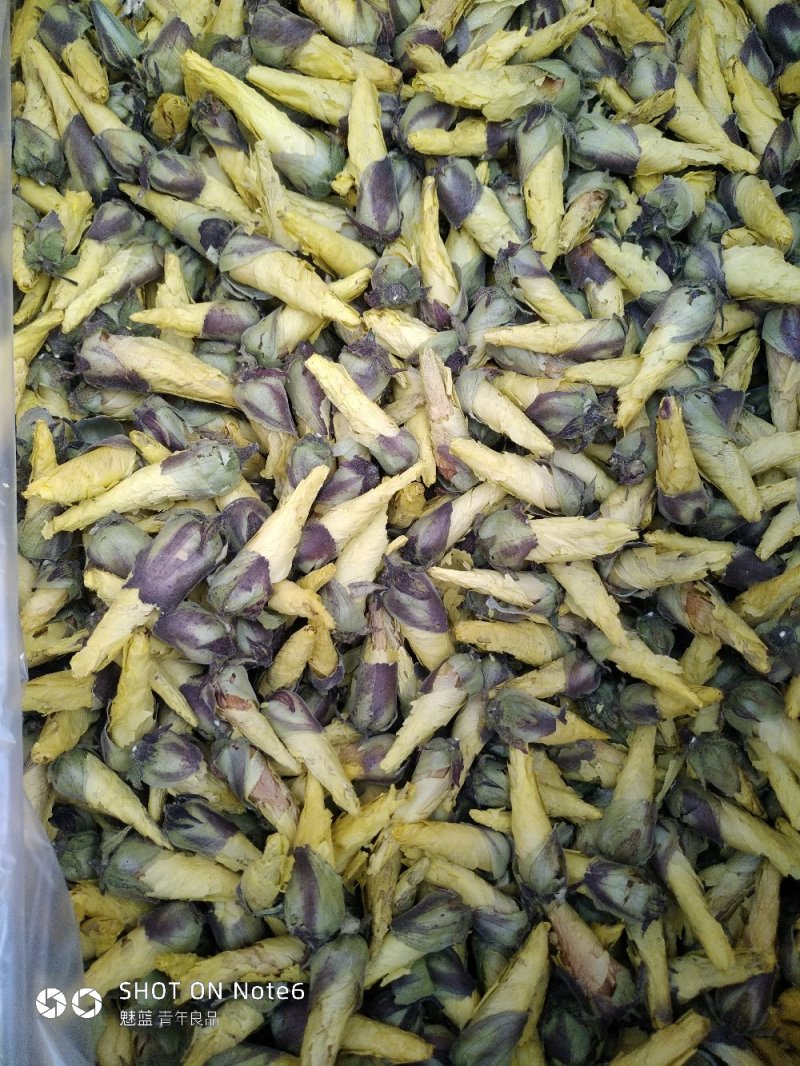 黄蜀葵花蜀葵花