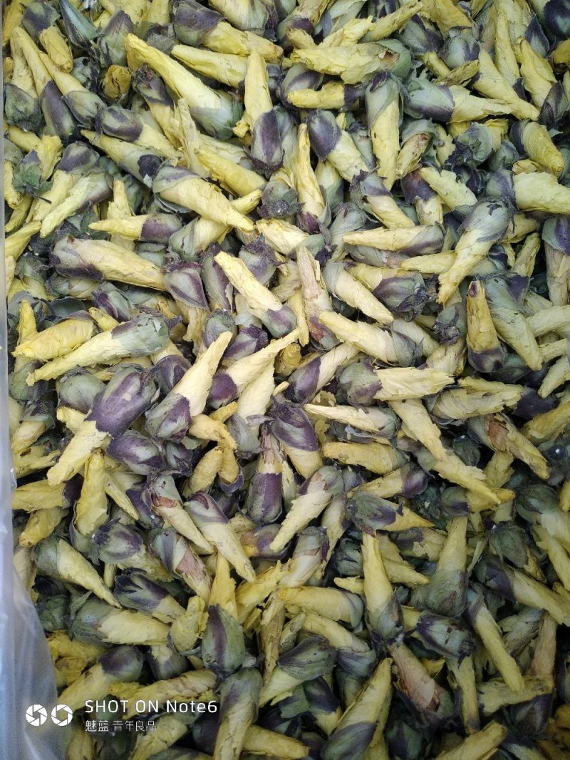 黄蜀葵花蜀葵花