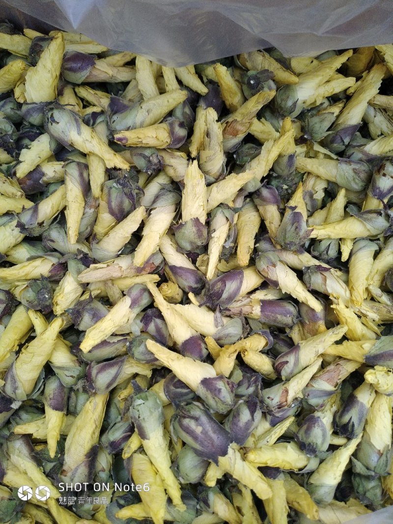 黄蜀葵花蜀葵花