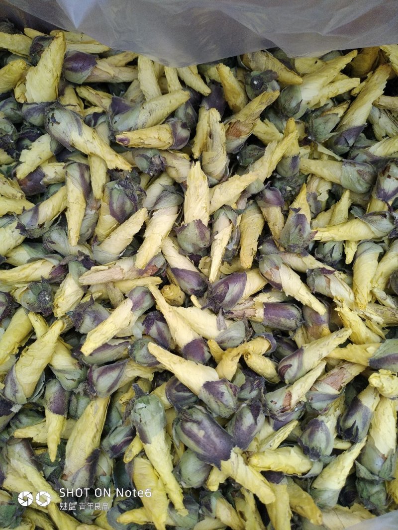 黄蜀葵花蜀葵花