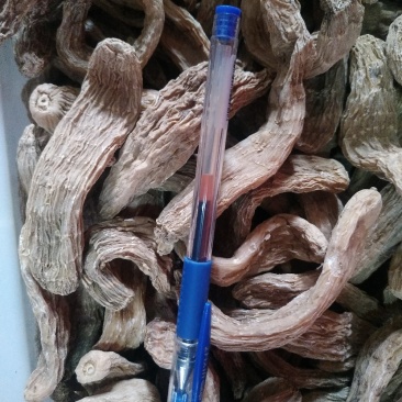 野生东北天麻