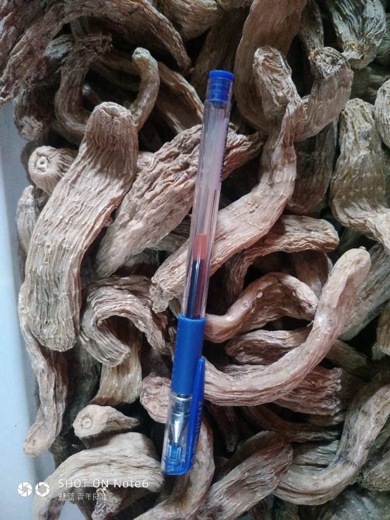 野生东北天麻