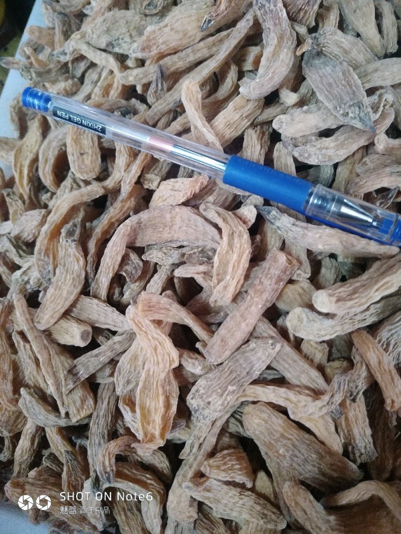 野生东北天麻