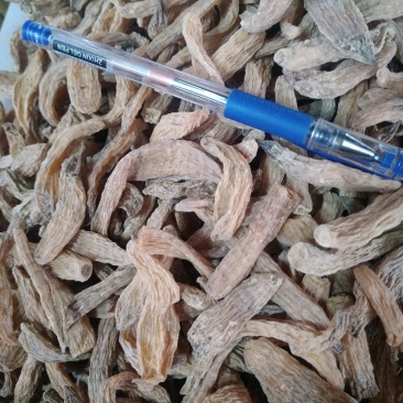 东北野生小个天麻
