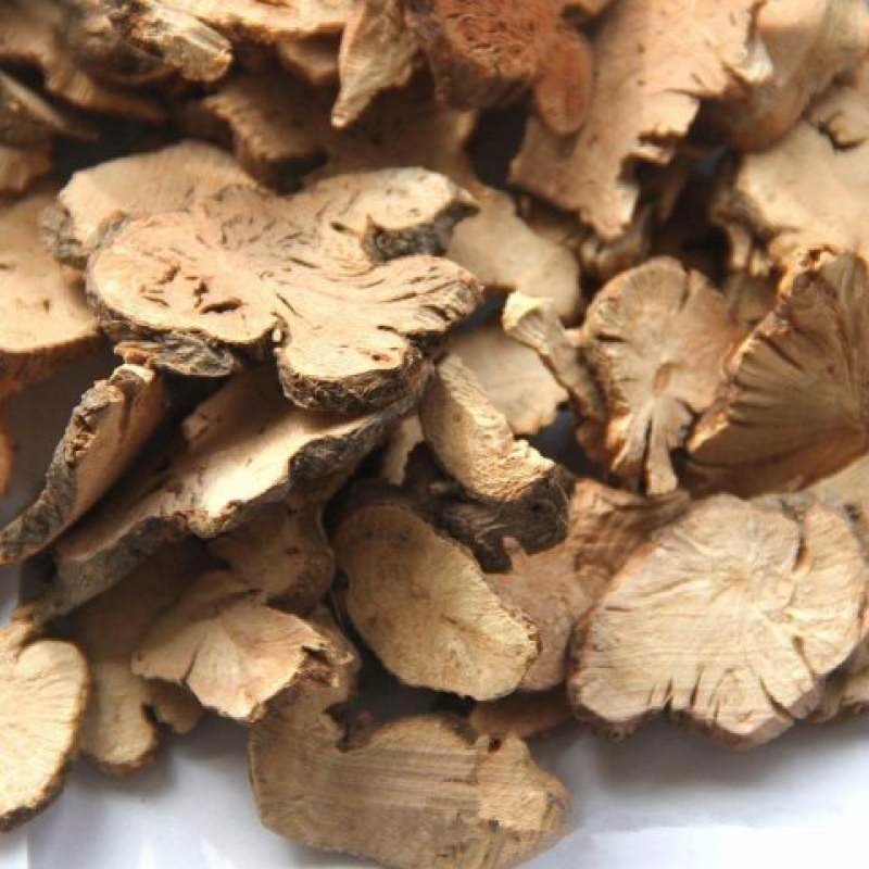 金荞麦