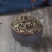 一点红羊蹄草山羊草无硫净货保正品批发零售冷背中药材