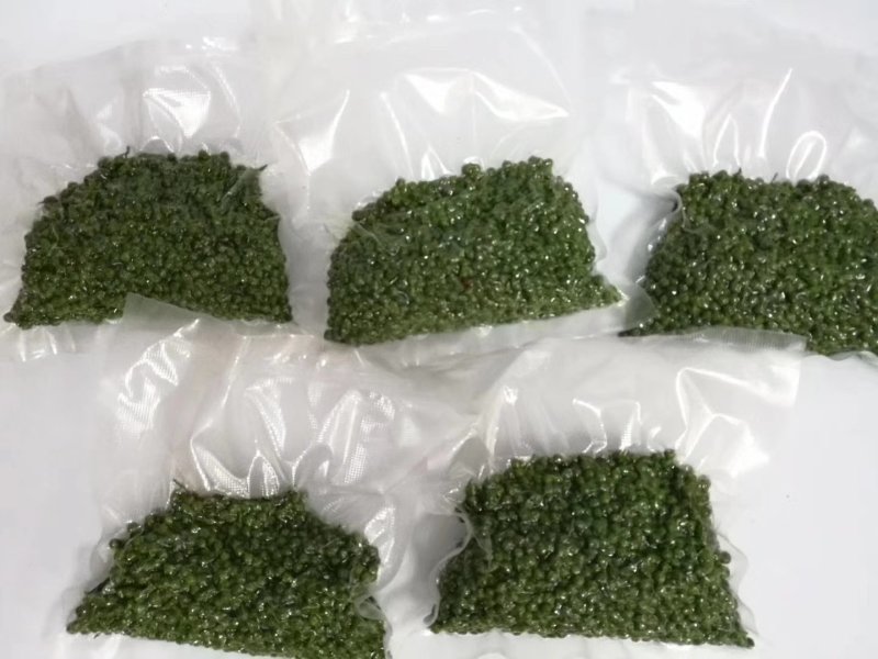 青花椒