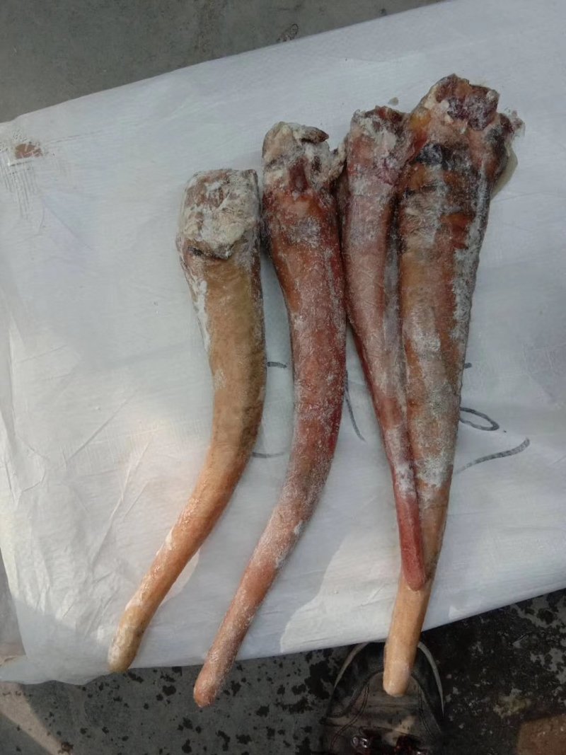 各种驴肉板肠心，肚，口条，腰孑，蹄筋，健子，及各种下水。