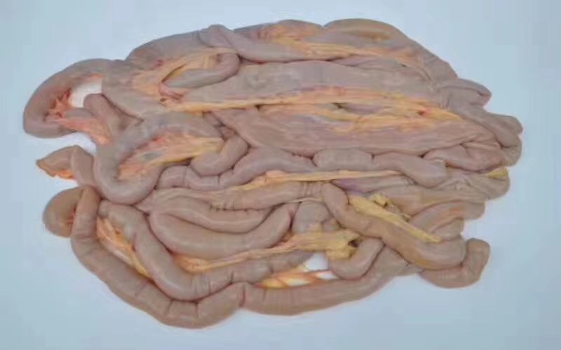 各种驴肉板肠心，肚，口条，腰孑，蹄筋，健子，及各种下水。