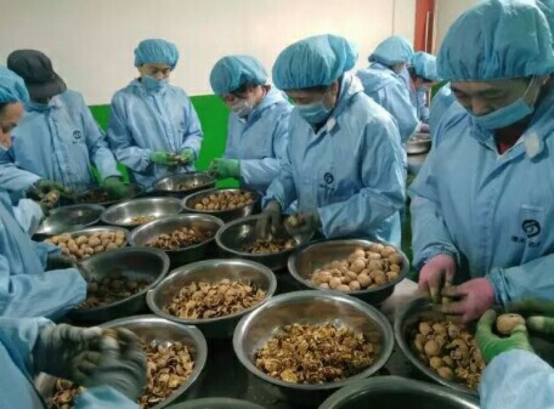 清水核桃烘烤核桃仁