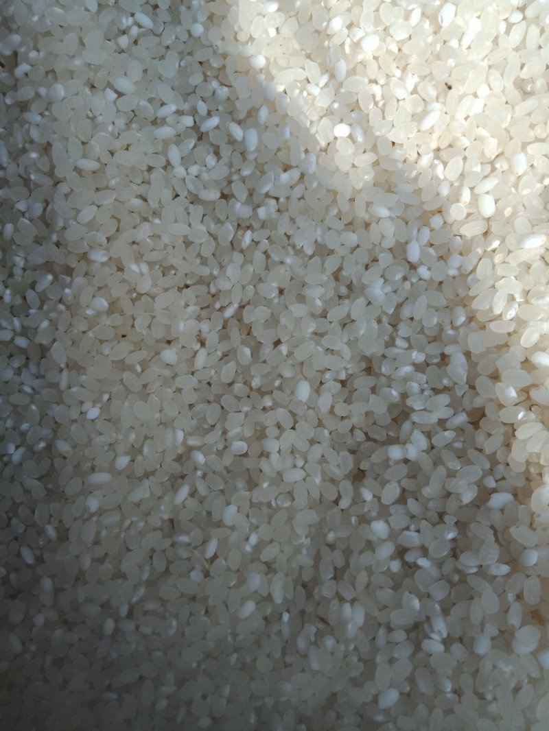 龙虾田大米，有需要的吗？