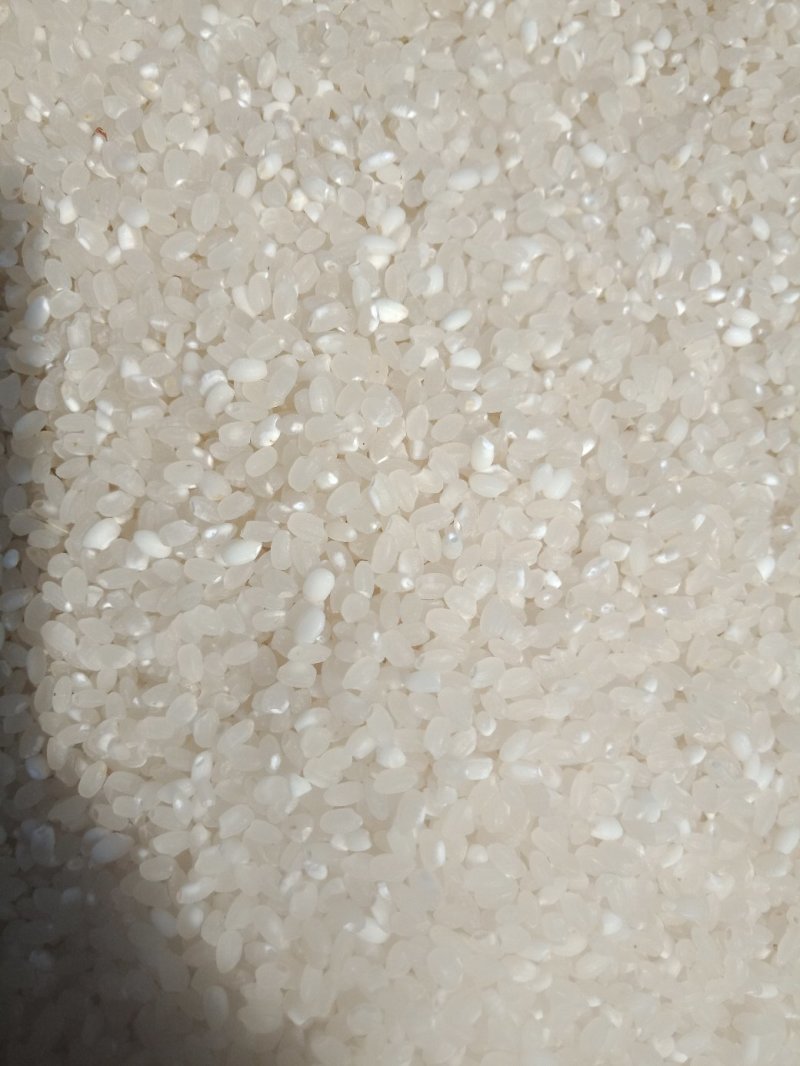 龙虾田大米，有需要的吗？