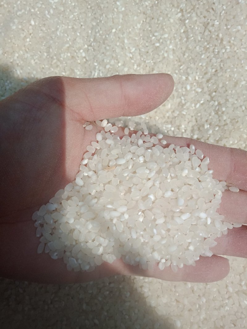 龙虾田大米，有需要的吗？