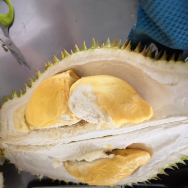 泰国金枕榴莲