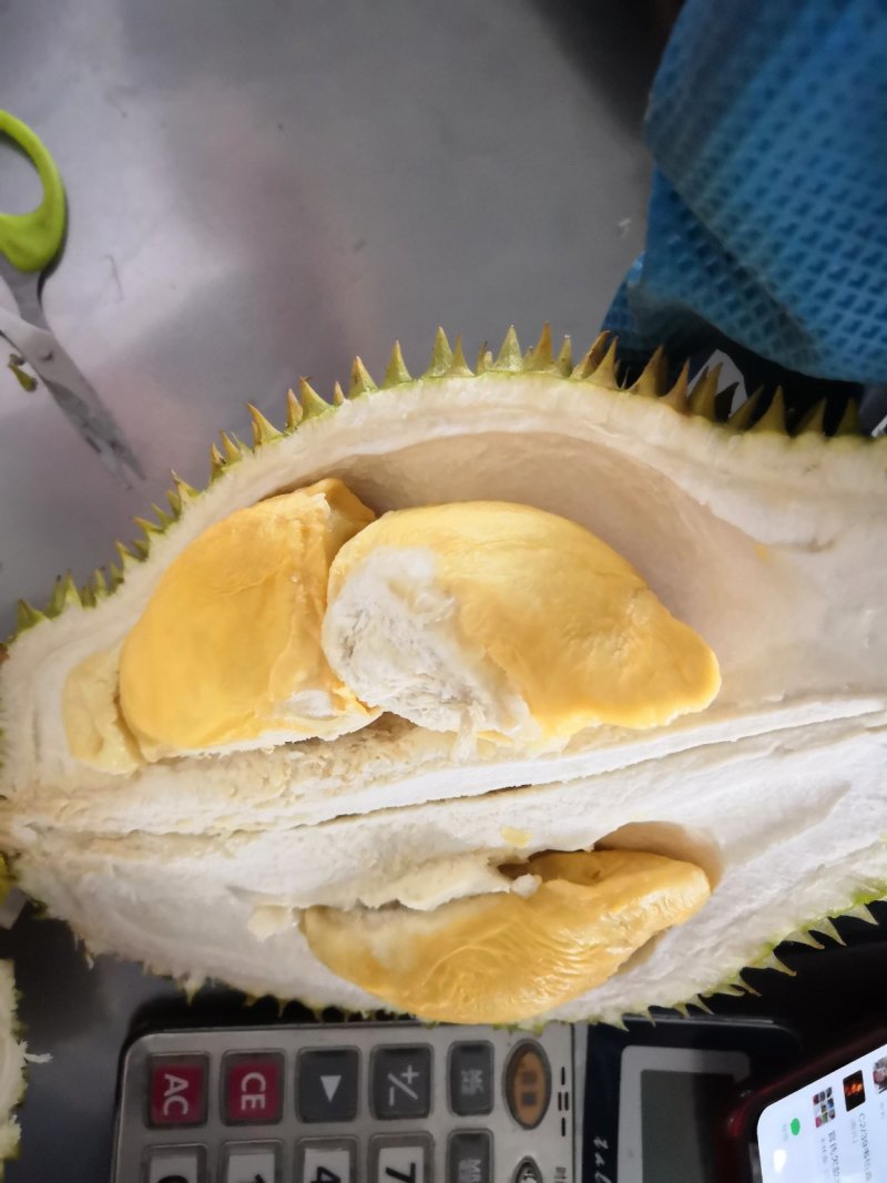 泰国金枕榴莲