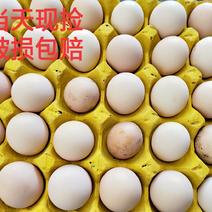 云南土鸡蛋当天新鲜鸡蛋放养360枚净重38斤