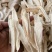 山药正宗河南无硫怀山药药食两用一公斤起发货