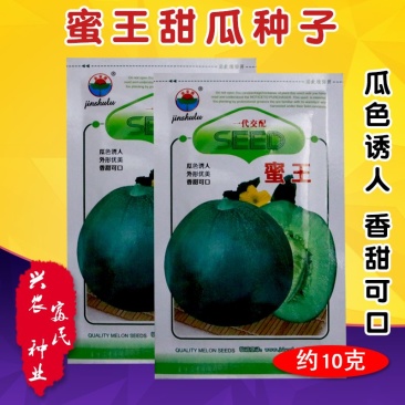 大田菜园高产高甜嫩脆绿皮绿肉蜜王甜瓜种子