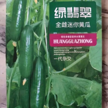 一代杂交黄瓜。绿翡翠全雌迷你黄瓜
