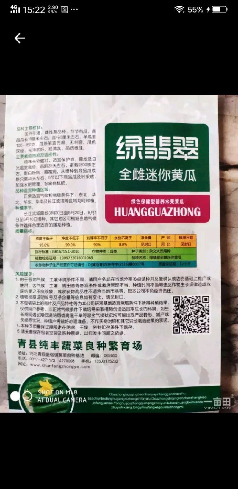 一代杂交黄瓜。绿翡翠全雌迷你黄瓜