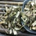 野马追尖佩兰化食草无硫净货保正品批发零售冷背中药材