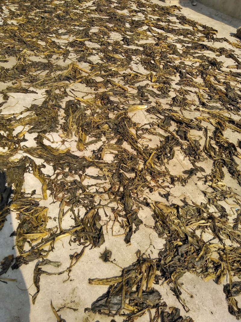 有要盐菜老板联系我