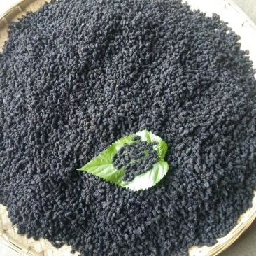 桑葚干，一手货源直供，攀枝花