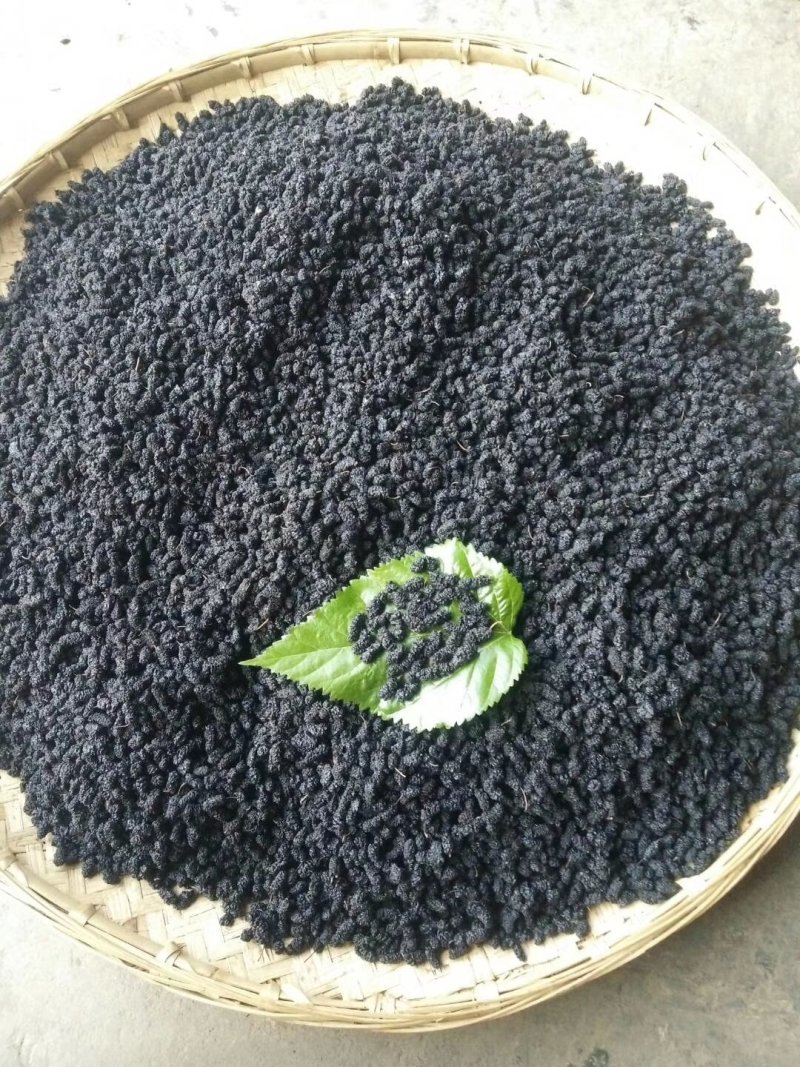 桑葚干，一手货源，产地直发