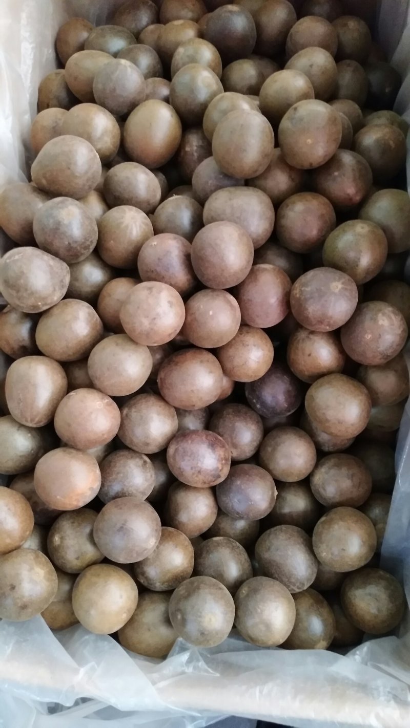 精选优质小罗汉果足干货无破果量大价优
