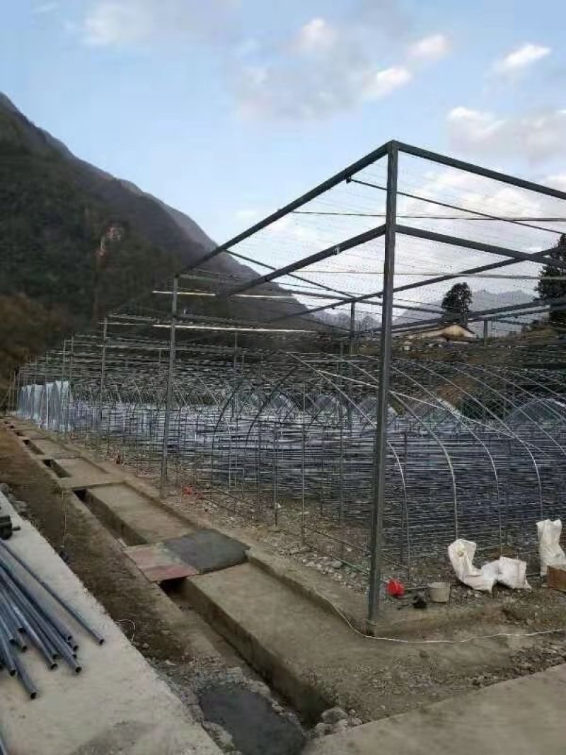 花卉玻璃连栋大棚温室连体大棚简易连栋大棚造价