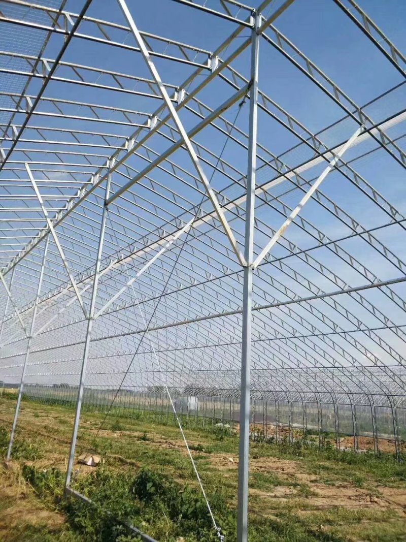 花卉玻璃连栋大棚温室连体大棚简易连栋大棚造价