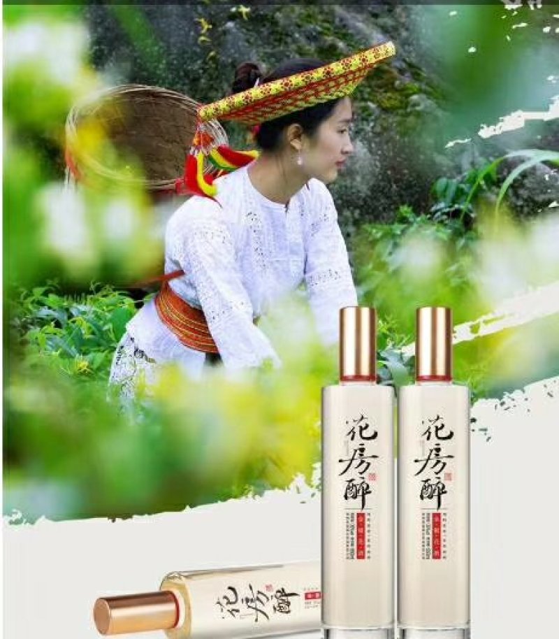 金银花苗，金银花酒