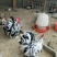 观赏鸡种蛋热销中包安全到家线上交易安全有保障