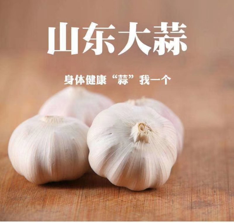 大蒜