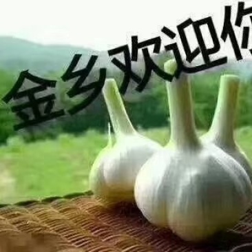 大蒜