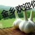 大蒜