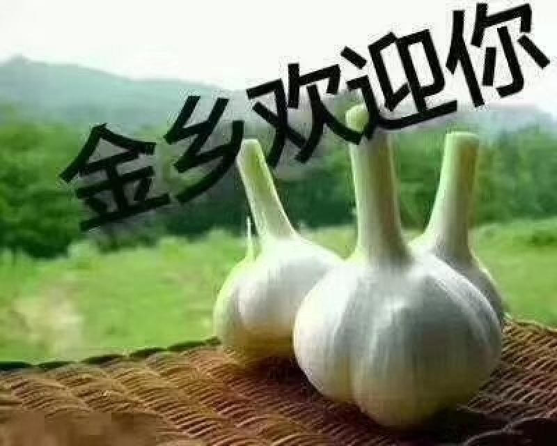 大蒜
