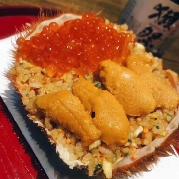 湛江硇洲海胆