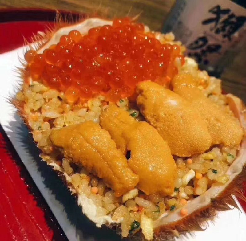 湛江硇洲海胆