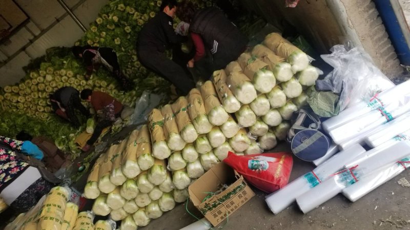 北京三号白菜大量供应中，各种包装各种标准