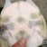 纯生态甲鱼苗，3到8两大量有货