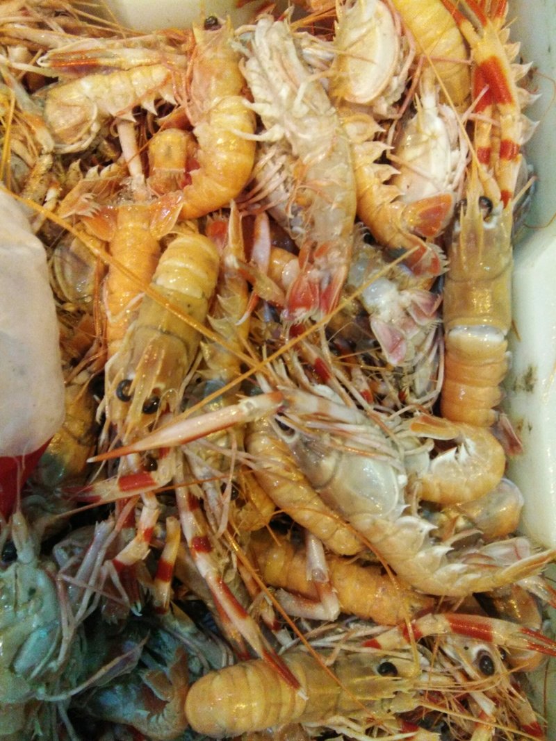海龙虾