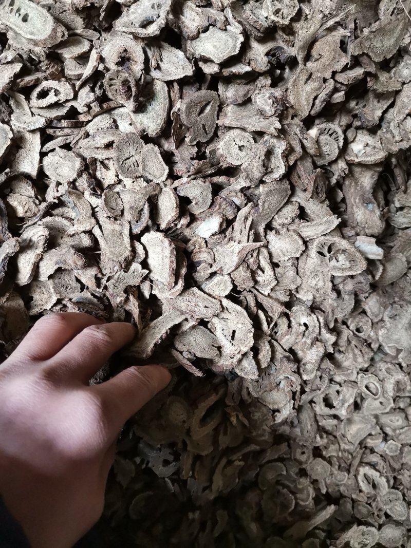 木香片木香产地直销！有圆片，有斜片。量大可优惠。