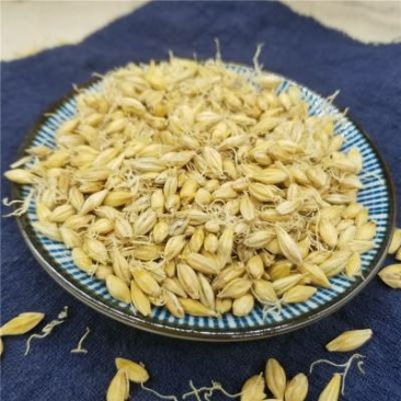 炒麦茶，生麦芽，蕉麦芽，批发中药材量大从优