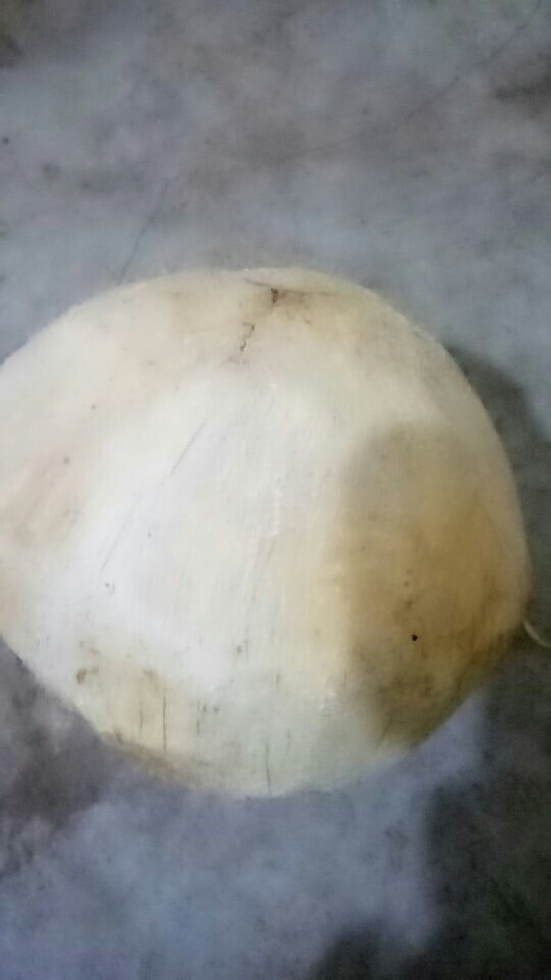 椰子毛椰